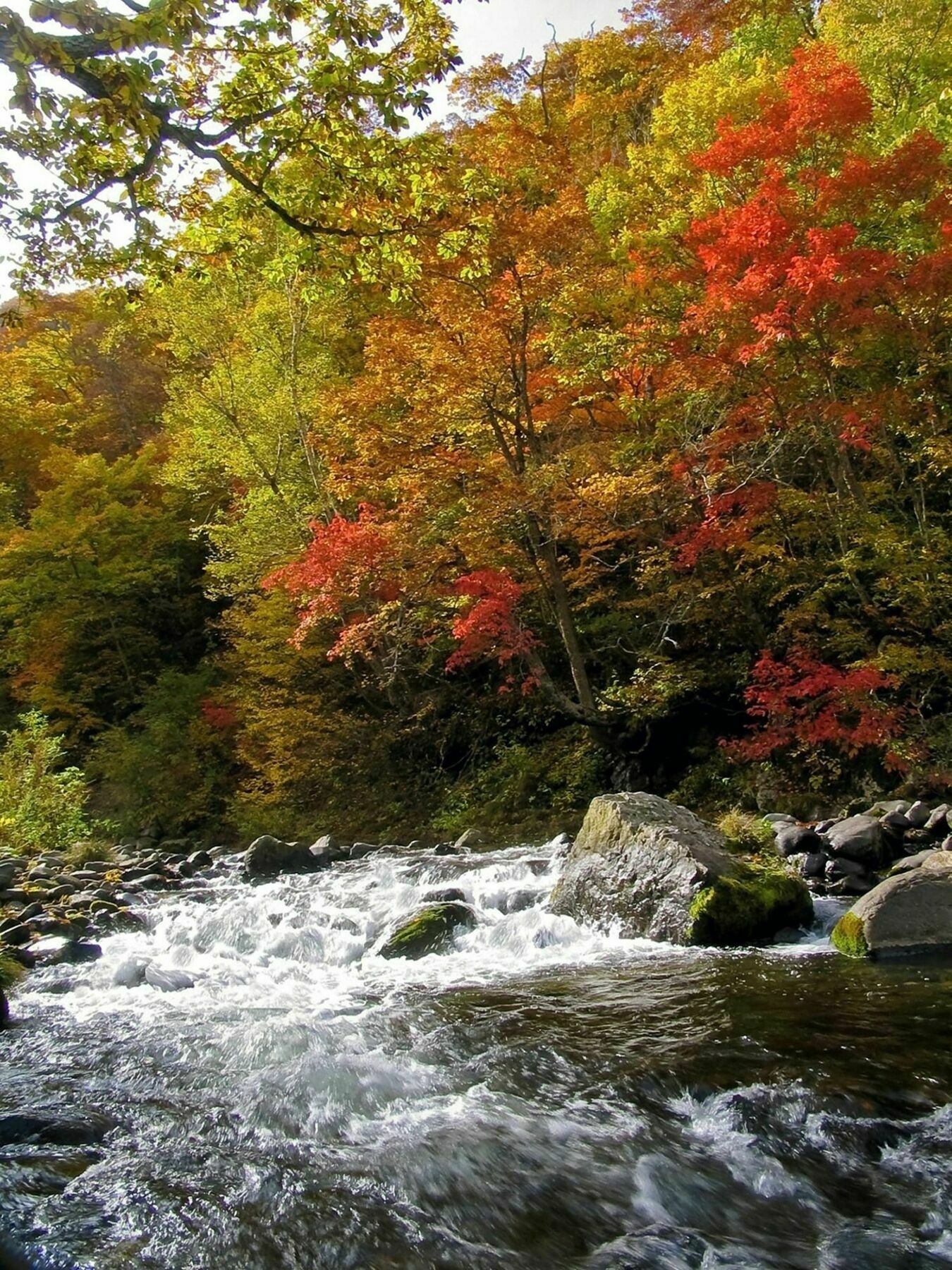 Kidoike Onsen Hotel Yamanouchi  Esterno foto